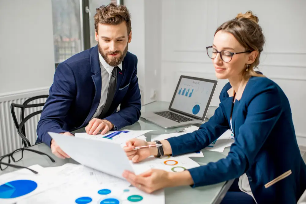Professional Audit Support